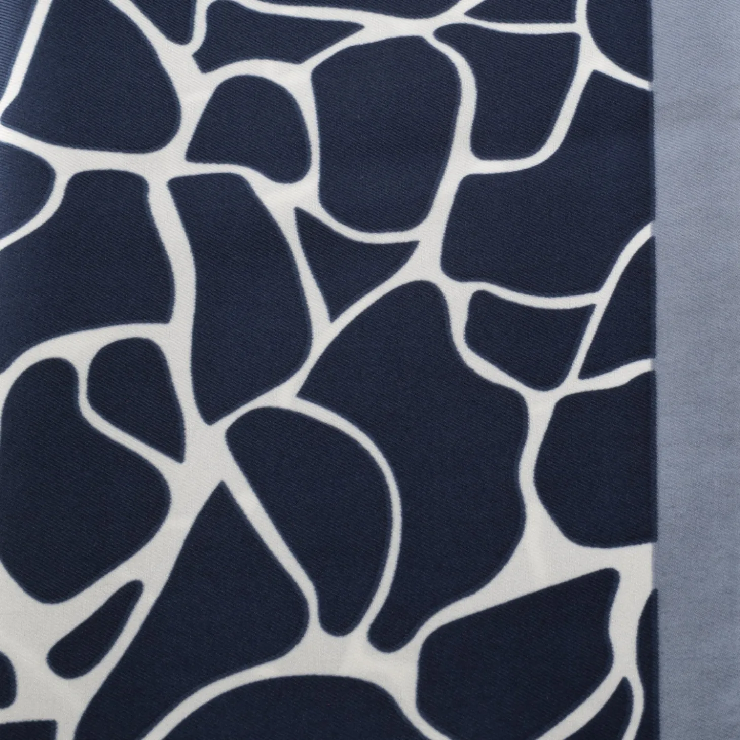 SCIARPA PAPAYA COLORE BLU